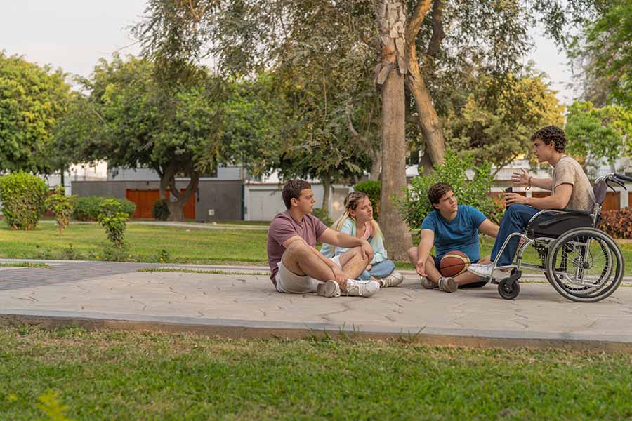 Grupo de amigos sentados en el parque.